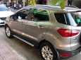 Ford EcoSport Titanium 2018 - Cần bán Ford EcoSport Titanium đời 2018, nhập khẩu