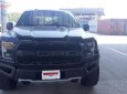 Ford F 150 Raptor 2019 - Cần bán xe Ford F 150 Raptor năm sản xuất 2019, màu đen, xe nhập