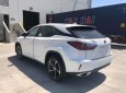 Lexus RX 350 2019 - Bán ô tô Lexus RX 350 năm sản xuất 2019, màu trắng, xe nhập Mỹ, vay vốn 3.5 tỷ, LH 093.798.2266