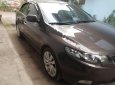 Kia Forte EX 2013 - Bán Kia Forte EX sản xuất năm 2013, màu nâu, số sàn