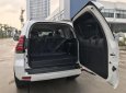 Toyota Land Cruiser Prado VX 2019 - Bán Toyota Land Cruiser Prado mới 100%, NK Nhật Bản, giá tốt, LH 0942.456.838