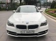 BMW 5 Series 520i 2014 - Cần bán BMW 520i sản xuất 2014 màu trắng kem cửa hít, biển TP, xe 1 chủ từ đầu nên rất giữ gìn