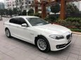 BMW 5 Series 520i 2014 - Cần bán BMW 520i sản xuất 2014 màu trắng kem cửa hít, biển TP, xe 1 chủ từ đầu nên rất giữ gìn