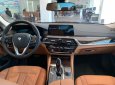 BMW 5 Series 530i 2019 - Bán ô tô BMW 5 Series 530i sản xuất năm 2019, màu đen, mới 100%