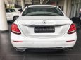 Mercedes-Benz E class E250 2017 - Mercedes E250 xe demo chưa lăn bánh chính hãng