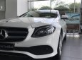 Mercedes-Benz E class E250 2017 - Mercedes E250 xe demo chưa lăn bánh chính hãng