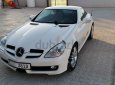 Mercedes-Benz SLK class 280 2007 - Bán Mercedes năm 2007, màu trắng, nhập khẩu nguyên chiếc giá cạnh tranh