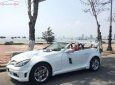 Mercedes-Benz SLK class 280 2007 - Bán Mercedes năm 2007, màu trắng, nhập khẩu nguyên chiếc giá cạnh tranh