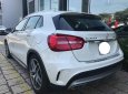 Mercedes-Benz GLA-Class GLA45 2015 - Bán Mercedes GLA45 lướt chính hãng (Mercedes Trường Chinh)