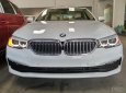 BMW 5 Series 520i 2018 - Bán BMW 520i-G30 tại Đà Nẵng - mới chưa đăng ký