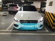 Mercedes-Benz E class E300 AMG 2017 - Bán ô tô Mercedes E300 AMG đời 2017, màu trắng chính chủ