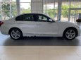 BMW 3 Series 320i 2018 - Bán ô tô BMW 3 Series 320i đời 2018, màu trắng, mới 100%