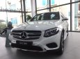 Mercedes-Benz GLC-Class GLC 200    2019 - Bán GLC 200 2019 hỗ trợ trả góp 80 %, xe đủ mầu, giao ngay liên hệ