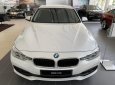 BMW 3 Series 320i 2018 - Bán ô tô BMW 3 Series 320i đời 2018, màu trắng, mới 100%