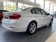 BMW 3 Series 320i 2018 - Bán ô tô BMW 3 Series 320i đời 2018, màu trắng, mới 100%