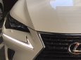 Lexus NX NX300 2018 - Bán Lexus NX 300 sản xuất 2018 xe mới đi 1.600km, cam kết chất lượng bao kiểm tra tại hãng