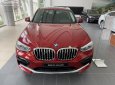 BMW X4 xDrive20i 2018 - Cần bán BMW X4 xDrive20i 2018, màu đỏ, nhập khẩu