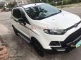 Ford EcoSport  Titanium  2015 - Bán ô tô Ford EcoSport Titanium 2015, màu trắng 