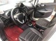 Ford EcoSport  Titanium  2015 - Bán ô tô Ford EcoSport Titanium 2015, màu trắng 