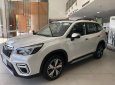 Subaru Forester 2.0 I-S Eyesight 2019 - Subaru Forester 2.0 i-s Eyesight Thái Lan 2019 đủ màu giảm TM trên 100tr, gọi 093.22222.30 Ms Loan