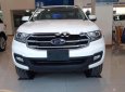 Ford Everest   2019 - Bán Ford Everest 2019, màu trắng, nhập khẩu