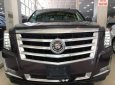 Cadillac Escalade   2015 - Cần bán gấp Cadillac Escalade đời 2015, đăng ký lần đầu 2017