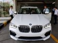 BMW X4 xDrive20i 2018 - Bán xe BMW X4 xDrive20i sản xuất năm 2018, màu trắng, nhập khẩu, mới 100%