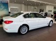 BMW 5 Series 530i Luxury Line 2018 - Bán BMW 5 Series 530i Luxury Line 2018, màu trắng, nhập khẩu, mới 100%