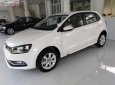 Volkswagen Polo 2018 - Cần bán Volkswagen Polo 2018, màu trắng, nhập khẩu,   mới 100%