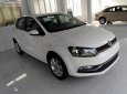 Volkswagen Polo 2018 - Cần bán Volkswagen Polo 2018, màu trắng, nhập khẩu,   mới 100%