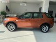 LandRover Discovery Sport HSE 2017 - Bán Discovery Sport HSE 2.0 model 2018 bản 5 chỗ