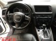 Audi Q5 2.0 TFSI Quattro 2010 - Chính chủ cần bán Audi Q5 2.0 TFSI Quattro SX 2010, màu trắng, xe nhập