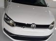 Volkswagen Polo 2018 - Cần bán Volkswagen Polo 2018, màu trắng, nhập khẩu,   mới 100%