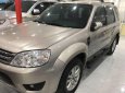 Ford Escape   2010 - Bán Ford Escape năm sản xuất 2010, màu bạc, nhập khẩu 