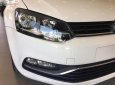 Volkswagen Polo 1.6 AT 2018 - Cần bán Volkswagen Polo 1.6 AT 2018, màu trắng, nhập khẩu, giá tốt