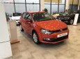 Volkswagen Polo 1.6 AT 2018 - Bán xe Volkswagen Polo 1.6 AT sản xuất năm 2018, màu đỏ, xe nhập