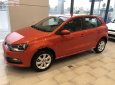 Volkswagen Polo 1.6 AT 2018 - Bán xe Volkswagen Polo 1.6 AT sản xuất năm 2018, màu đỏ, xe nhập