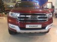 Ford Everest 2019 - Everest 2019 giá cực sốc, chỉ từ 999 triệu đồng, khuyến mãi tặng nhiều phụ kiện