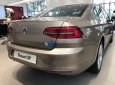 Volkswagen Polo 2016 - Bán Volkswagen Passat Sedan cao cấp (có trang bị Ghế Massage) - nhập khẩu từ Đức -K/M lớn