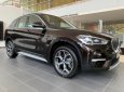BMW X1 2019 - Bán ô tô BMW X1 năm sản xuất 2019, màu nâu, nhập khẩu nguyên chiếc