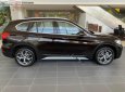 BMW X1 2019 - Bán ô tô BMW X1 năm sản xuất 2019, màu nâu, nhập khẩu nguyên chiếc