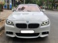 BMW 5 Series 528i 2010 - Bán BMW 5 Series 528i đời 2010, màu trắng, nhập khẩu nguyên chiếc, 980tr