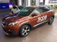 Peugeot 3008 1.6 AT 2019 - Bán xe Peugeot 3008 1.6 AT năm sản xuất 2019, màu nâu