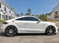 Audi TT Roadster 2.0 TFSI quattro 2007 - Cần bán gấp Audi TT 2.0 Turbo TFSI màu trắng, nội thất nâu