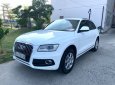 Audi Q5   2013 - Bán Audi Q5 2013, xe đẹp không lỗi, cam kết chất lượng bao check hãng