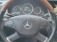 Mercedes-Benz E class E300 2009 - Bán Mercedes E300 sản xuất năm 2009, màu nâu, giá tốt