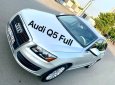 Audi Q5 2.0 2010 - Audi Q5 nhập 2010 hàng full cao cấp, nút đề stop cốp điện số tự động 8 cấp
