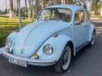 Volkswagen Beetle 1968 - Bán Volkswagen Beetle đời 1968, xe nhập chính chủ