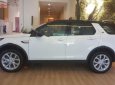 LandRover Discovery Sport HSE 2018 - Bán Discovery Sport HSE - Chương trình tháng 4 với ưu đãi lớn 200 triệu đồng