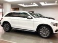 Mercedes-Benz GLC-Class GLC 300 4Matic 2019 - Mua xe GLC trả góp xe đủ mầu, giao ngay liên hệ